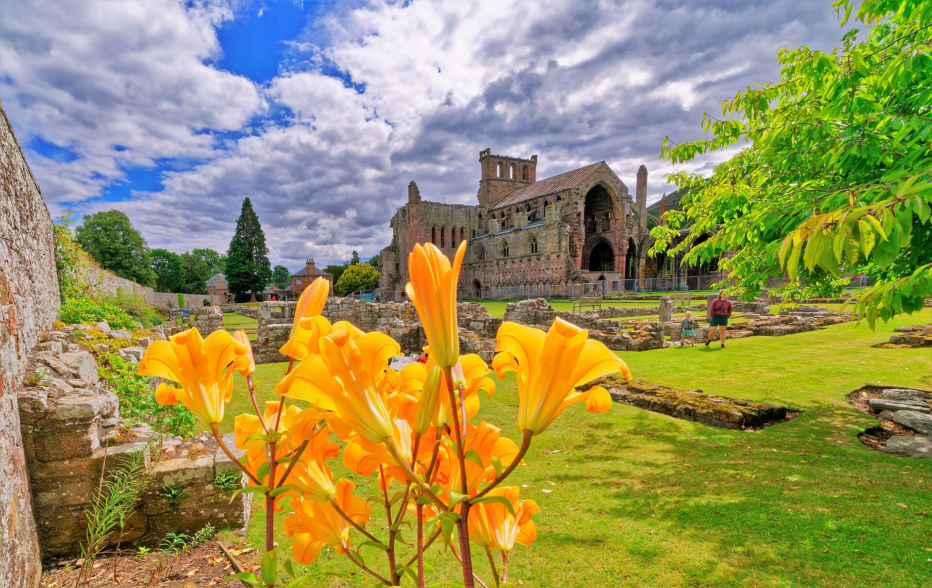 Melrose Abbey — image 4