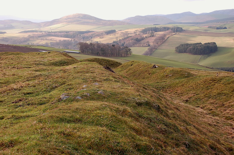 Milkieston Rings — image 2