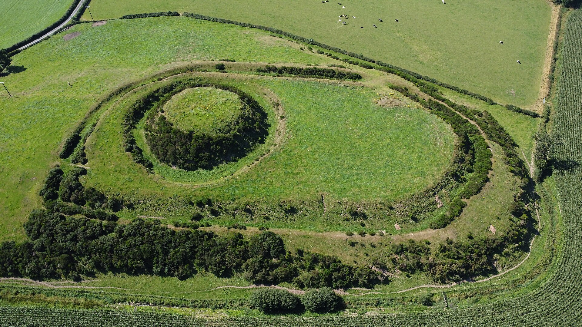 Motte of Urr — image 2