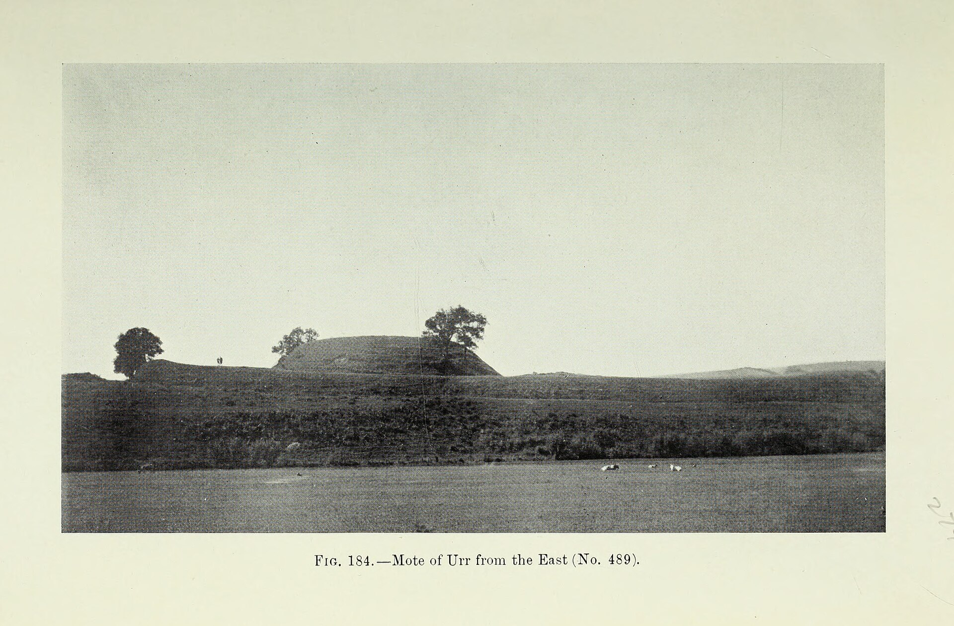 Motte of Urr — image 4
