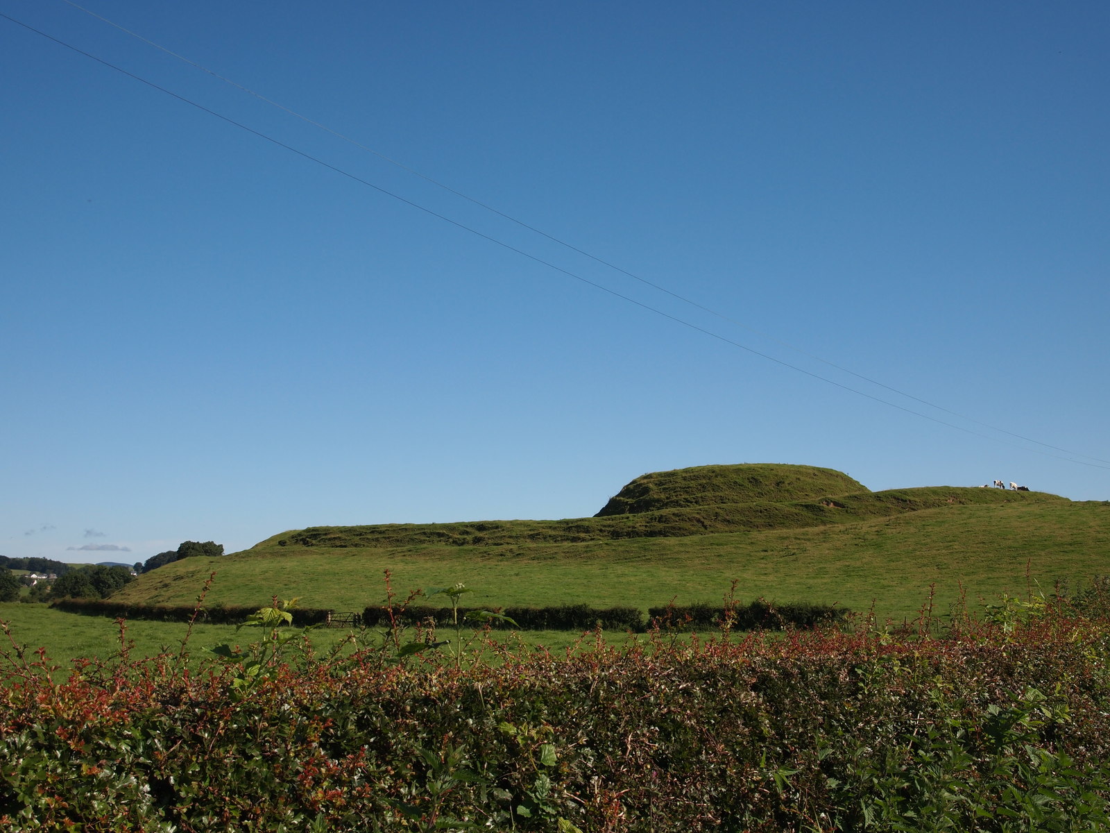 Motte of Urr — image 5