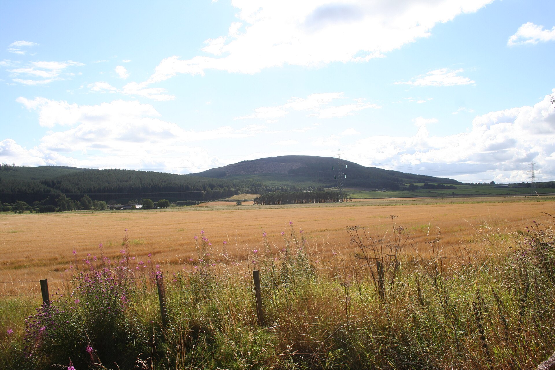 Muiryfold — image 2