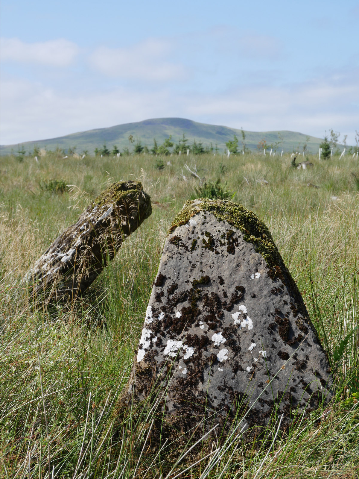 Ninestane Rig — image 2