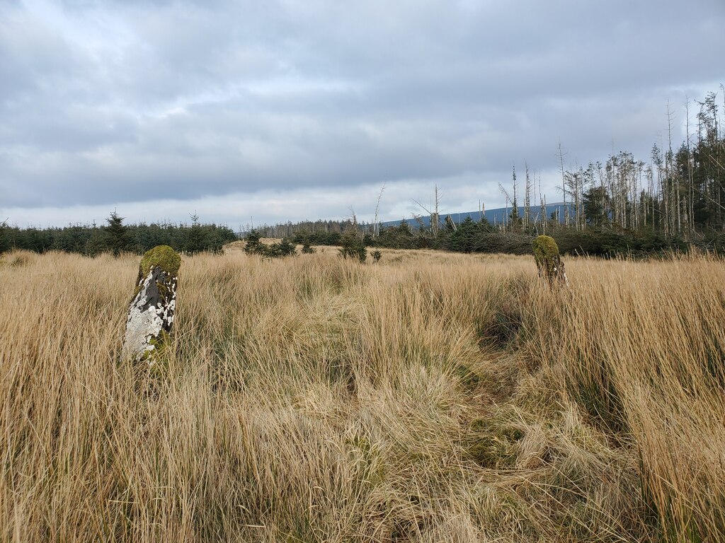 Ninestane Rig — image 3