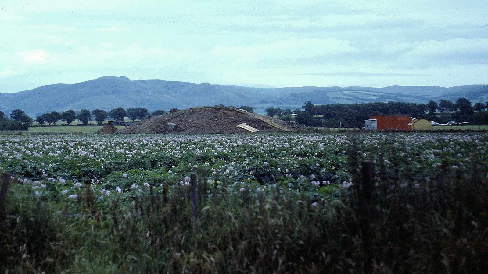 North Mains — image 2