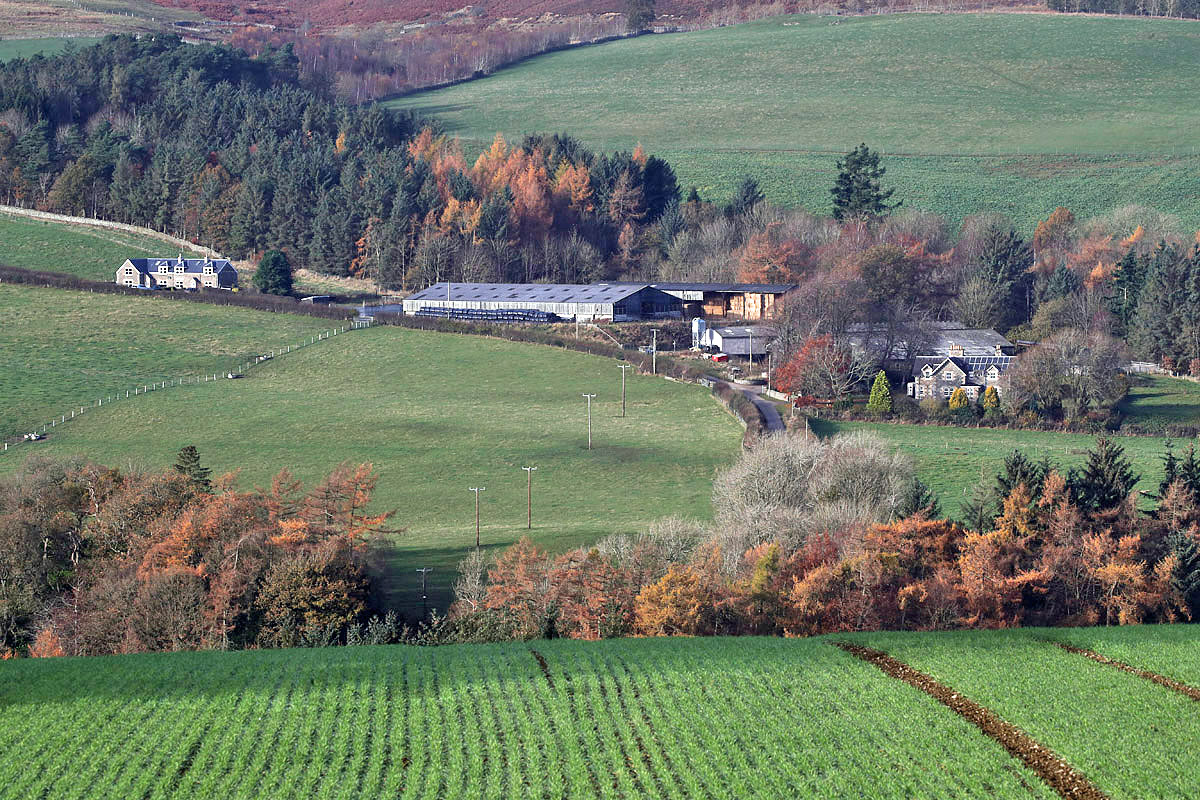 Oakwood Roman Fort and Camp — image 2