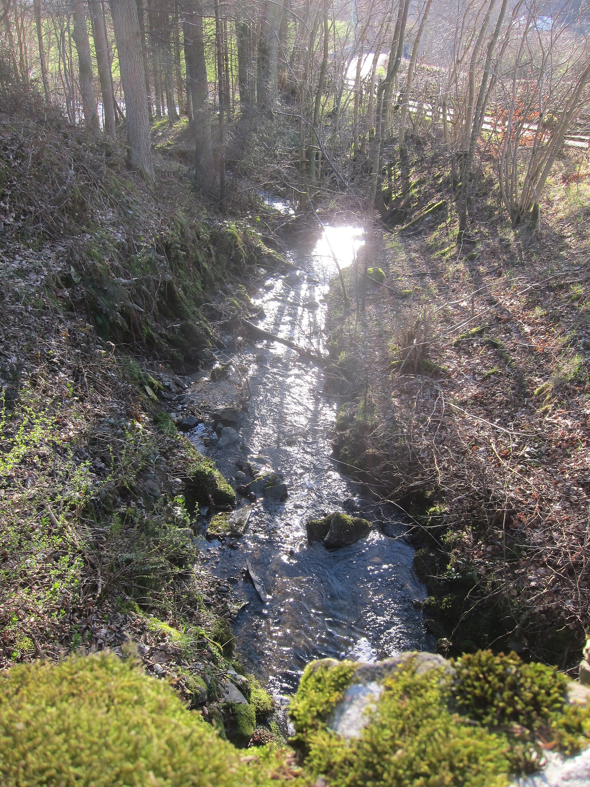 Oakwood Roman Fort and Camp — image 3