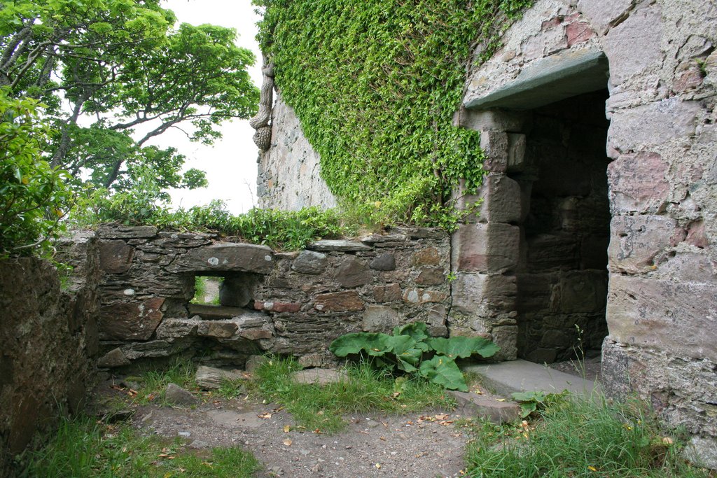 Old Castle Lachlan — image 2