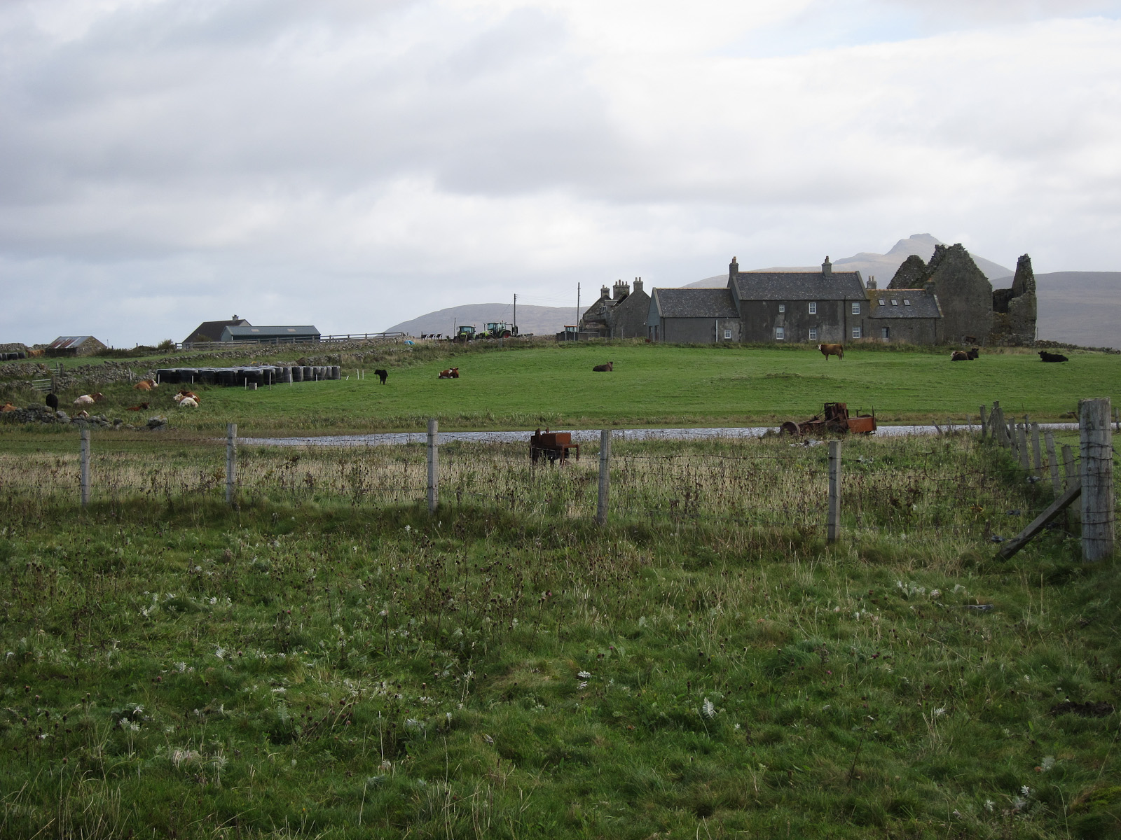 Ormacleit Castle — image 3