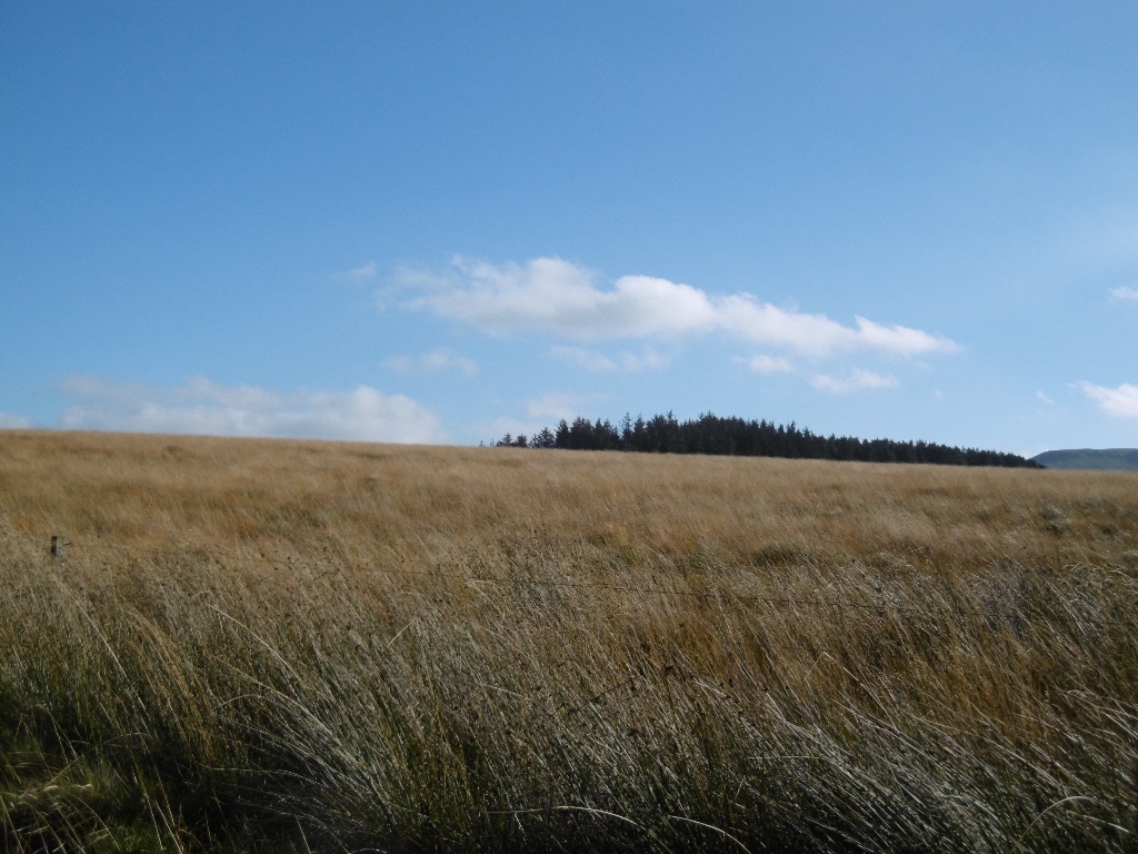 Pennymuir Roman camps — image 3