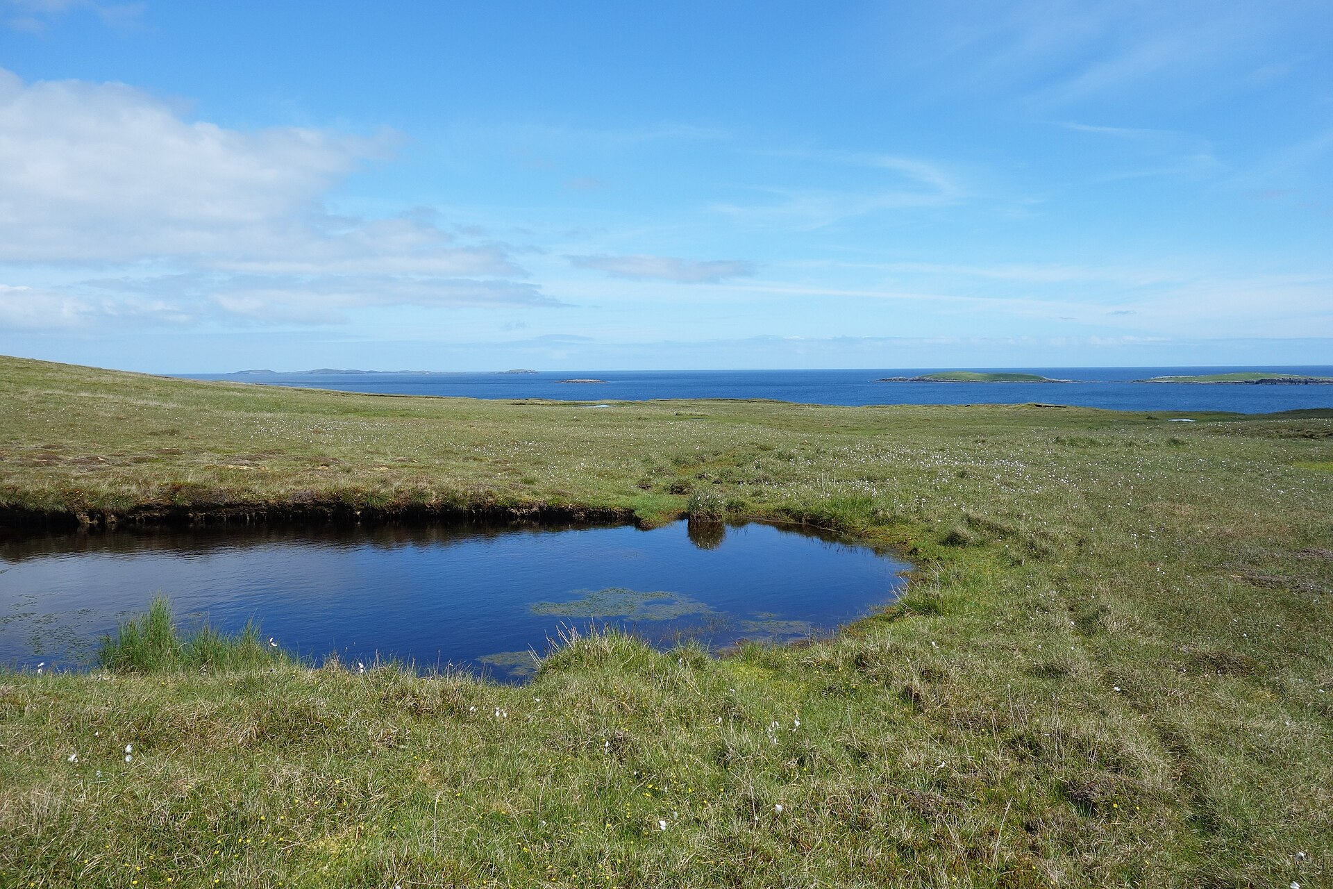 Pettigarths Field Cairns — image 2