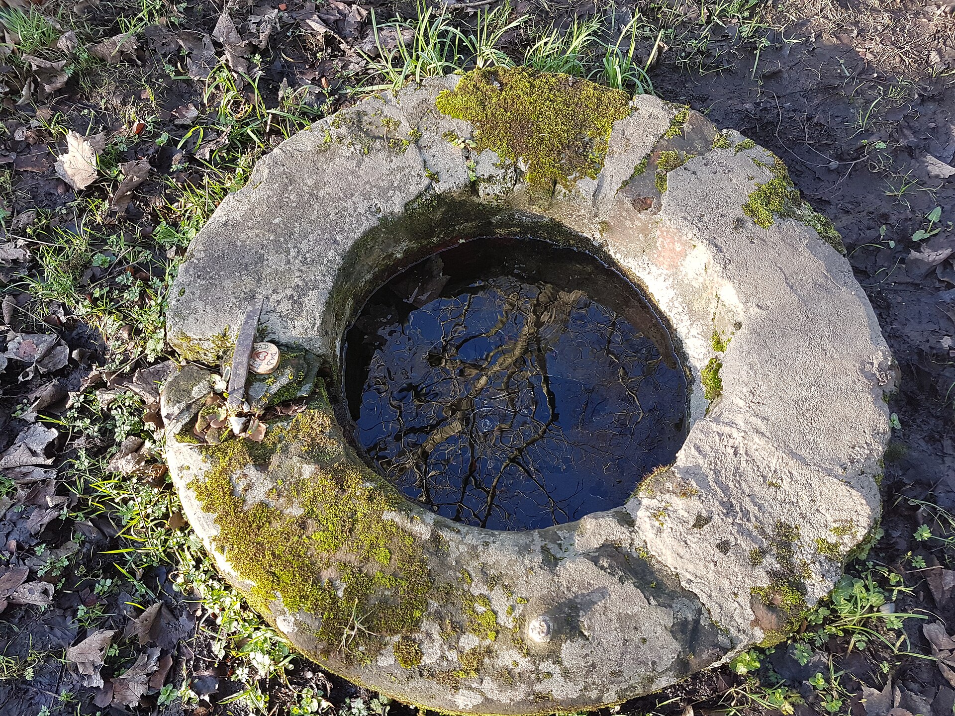 Pict's Knowe — image 3