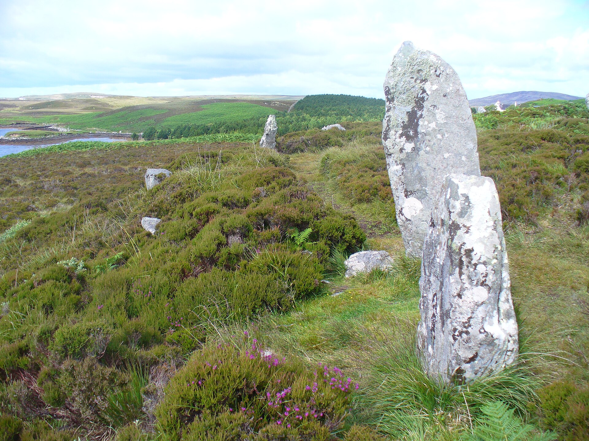 Pobull Fhinn — image 2