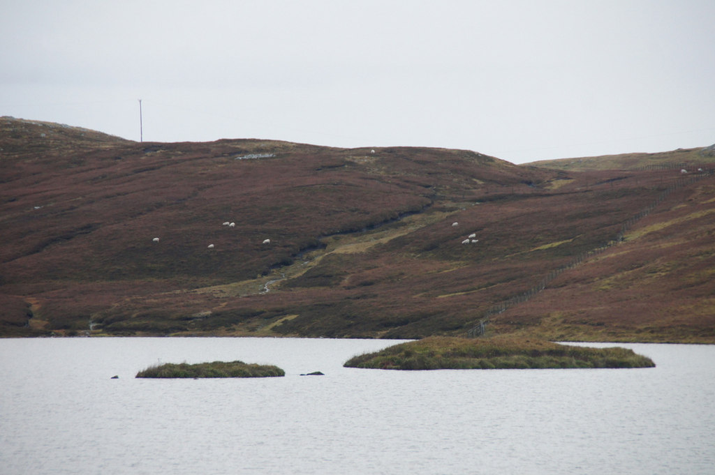 Punds Water — image 3