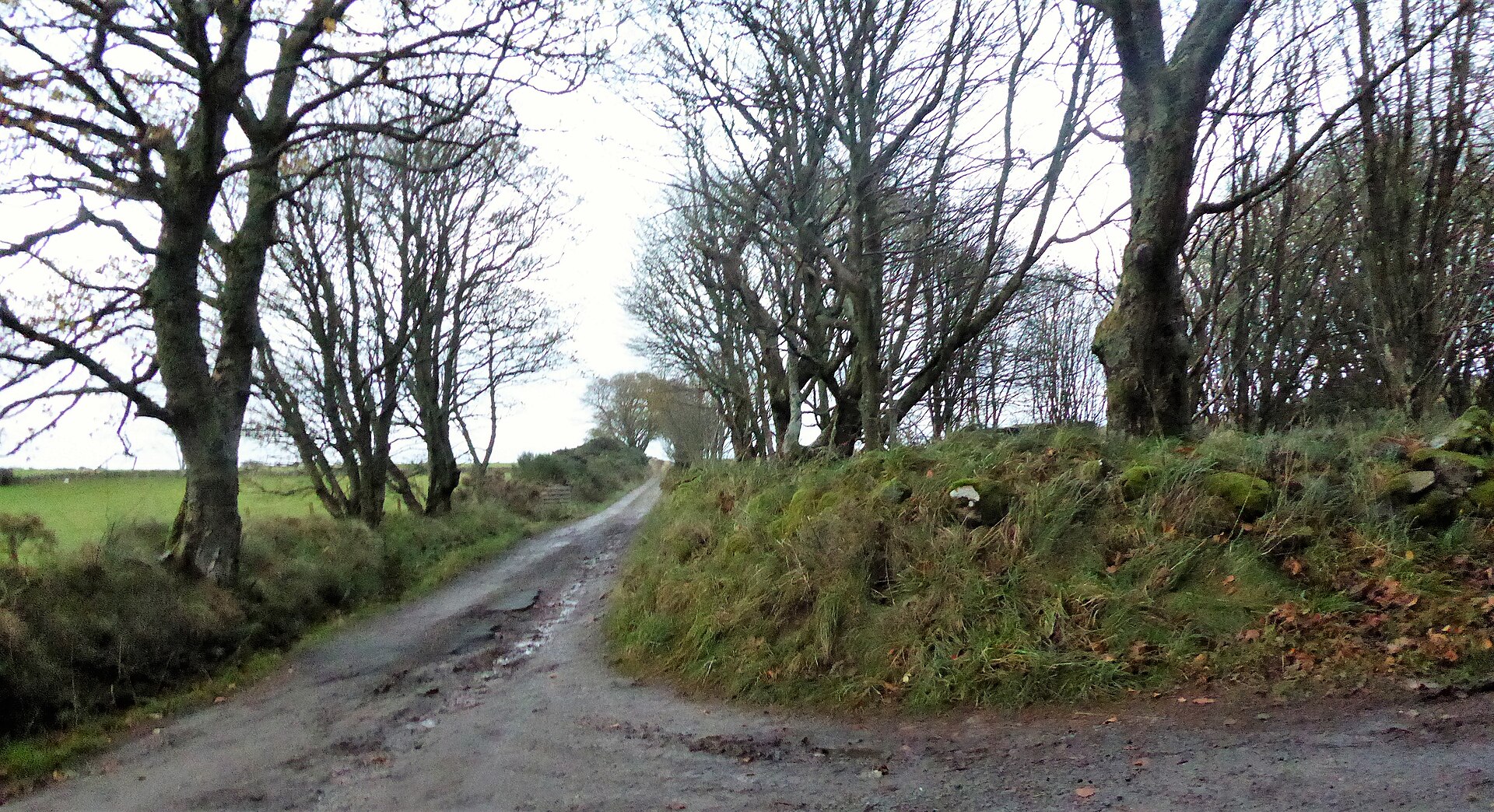 Raedykes — image 2
