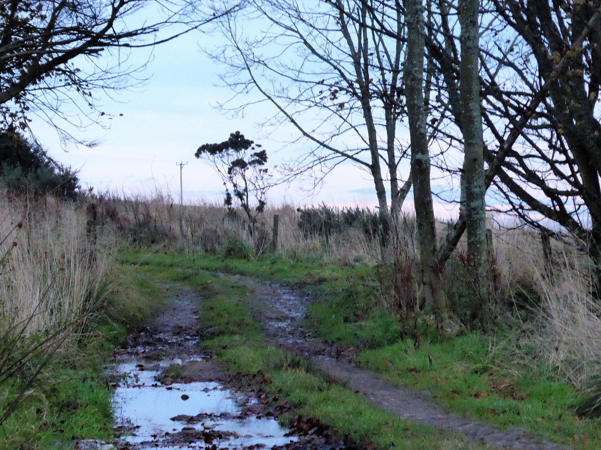Raedykes — image 3