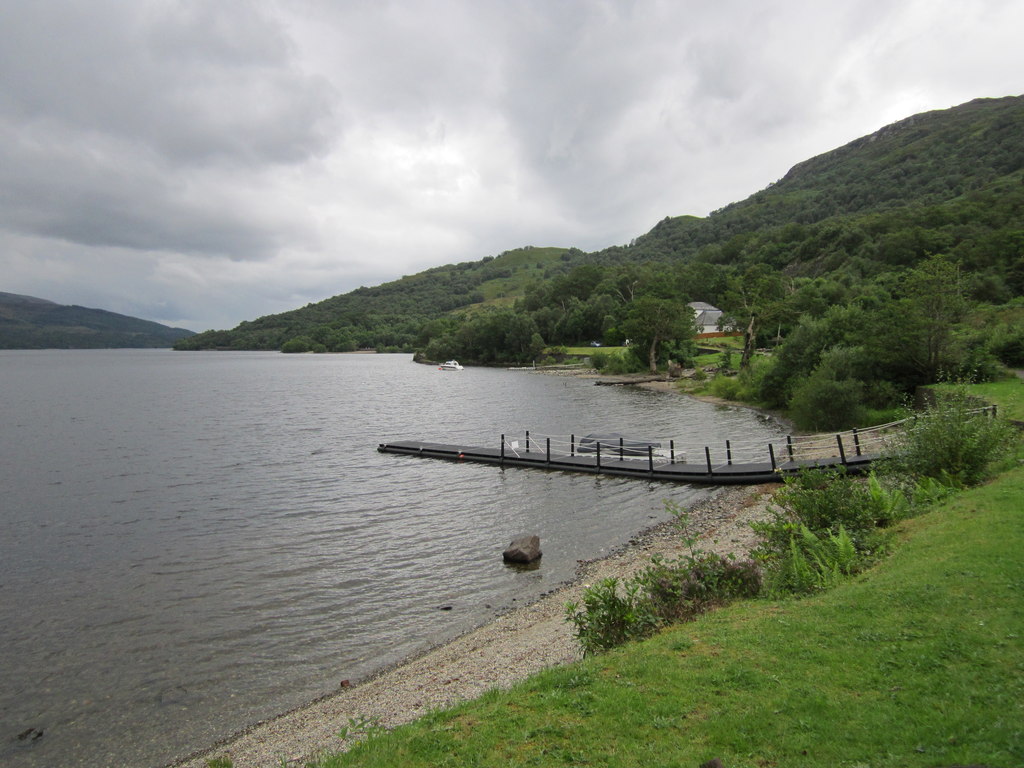 Robert the Bruce Yew — image 2