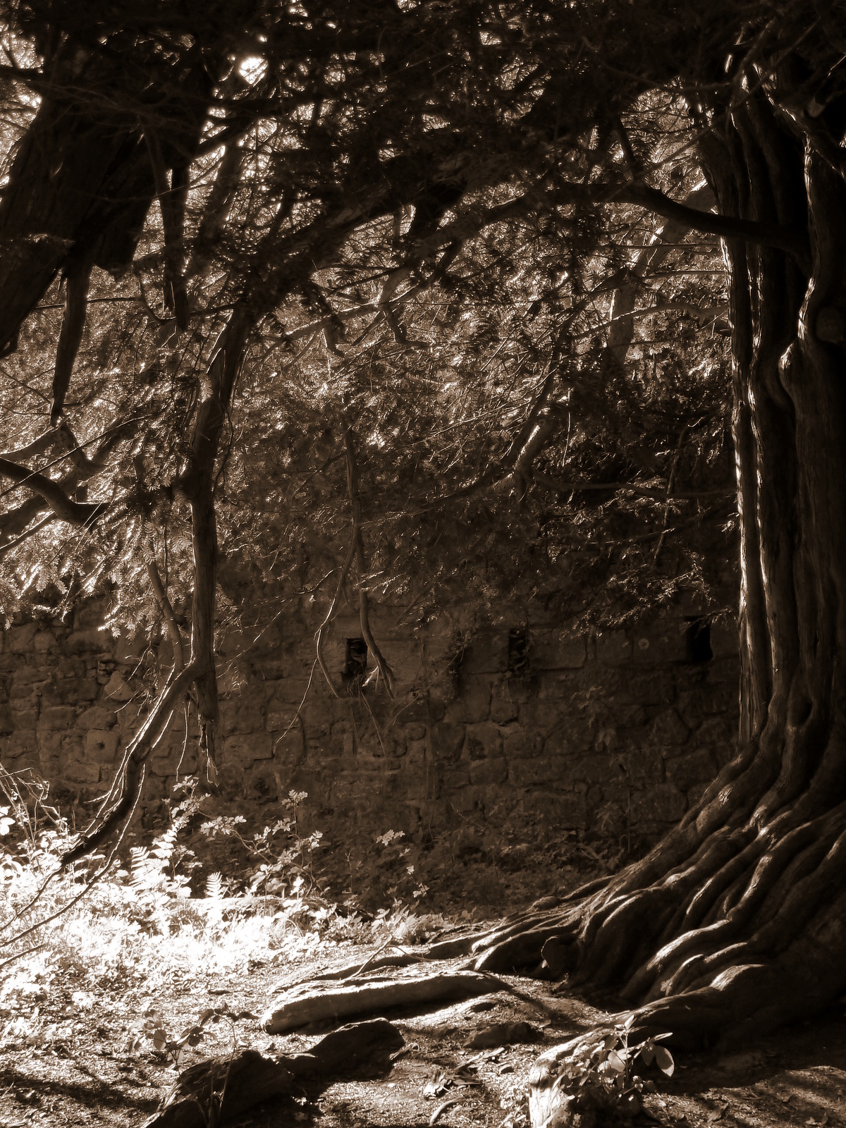 Roslin Castle — image 5