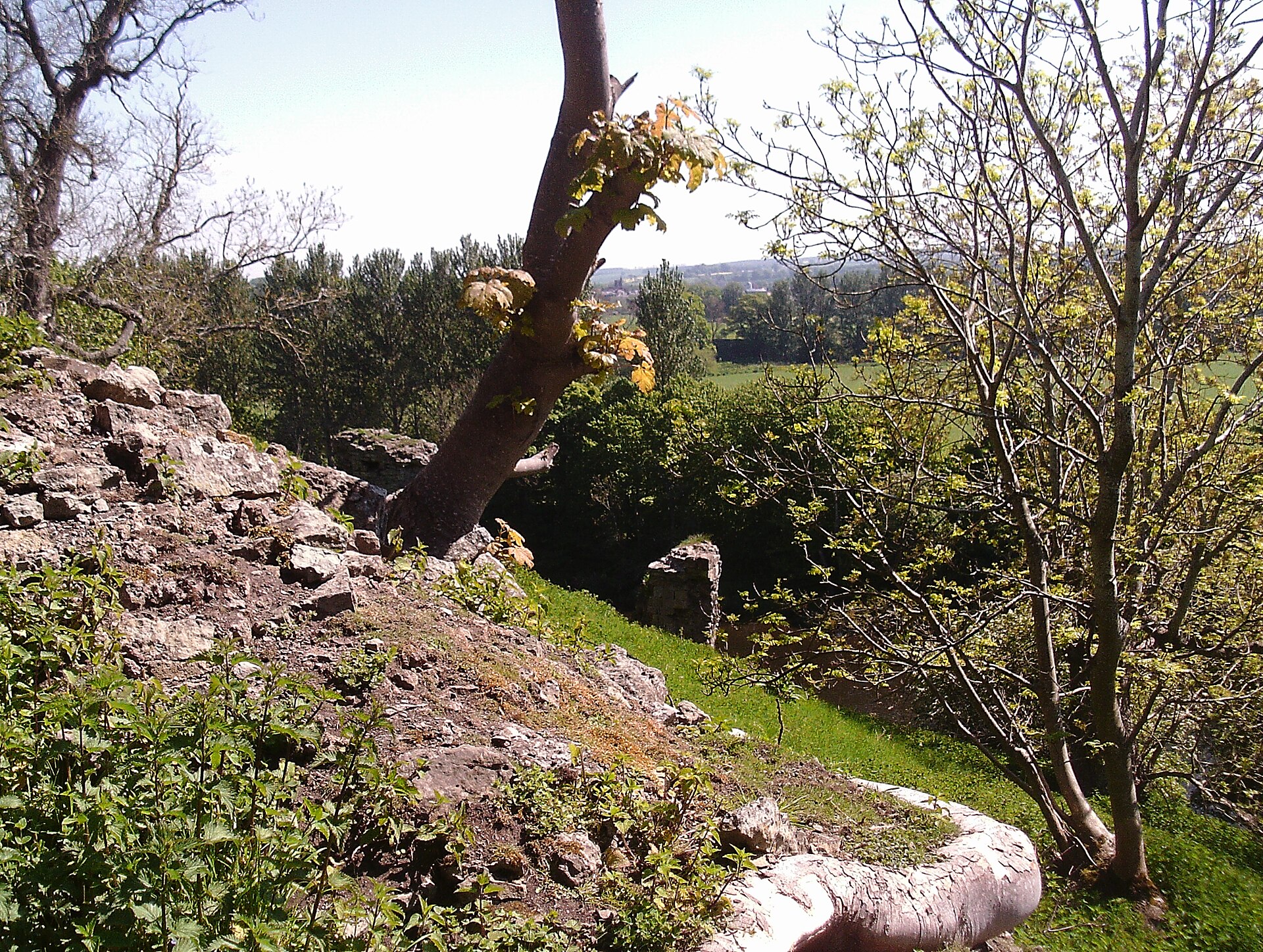 Roxburgh Castle — image 2