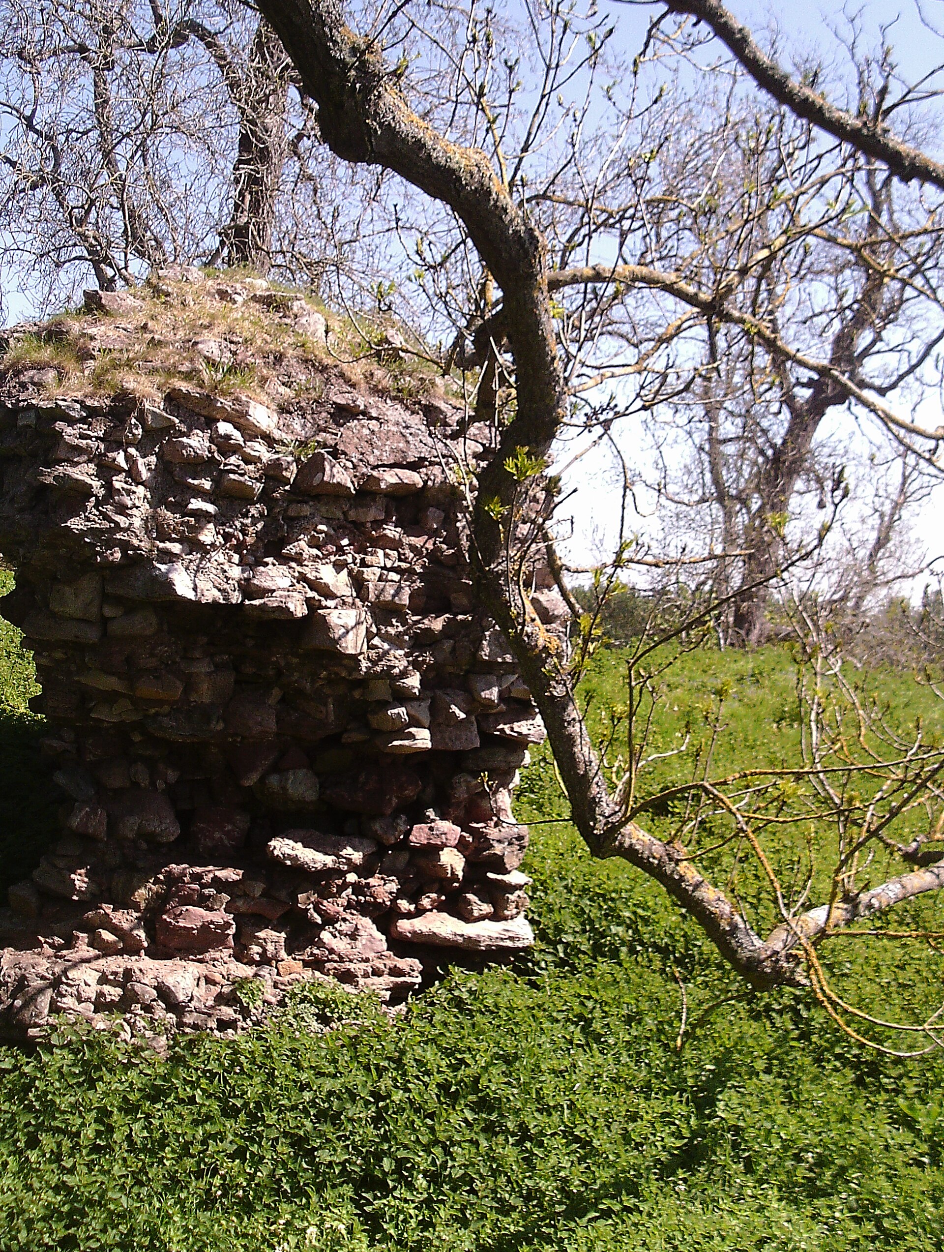 Roxburgh Castle — image 4