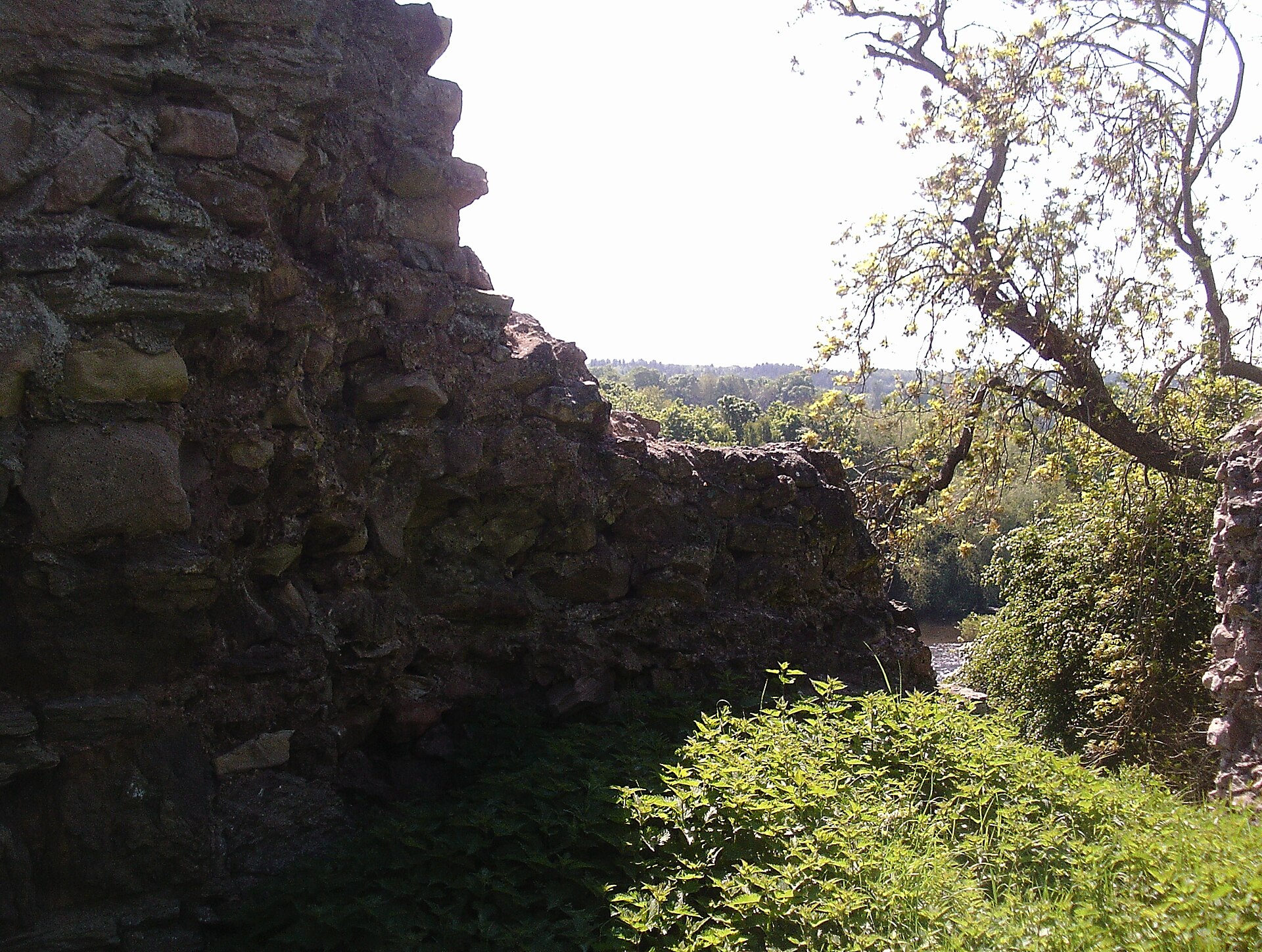 Roxburgh Castle — image 5