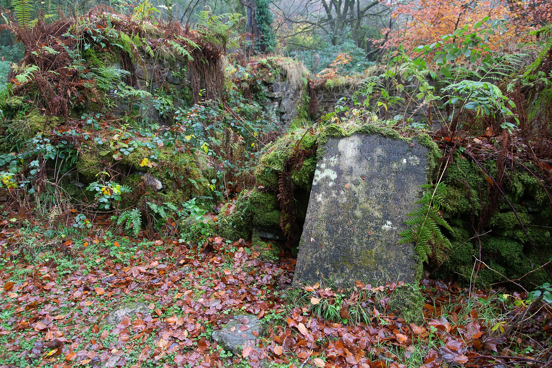 Saddell Abbey — image 2