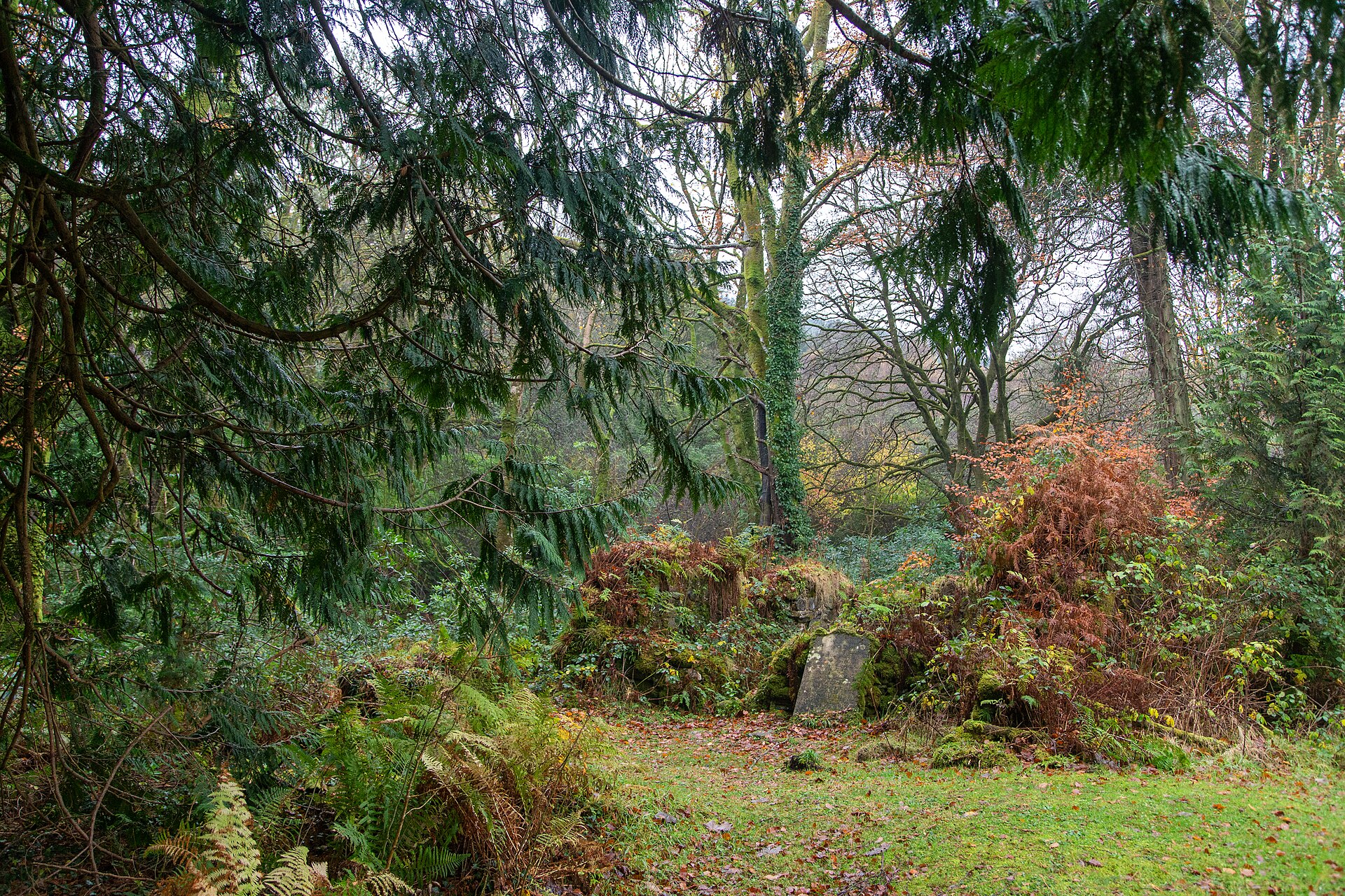Saddell Abbey — image 3