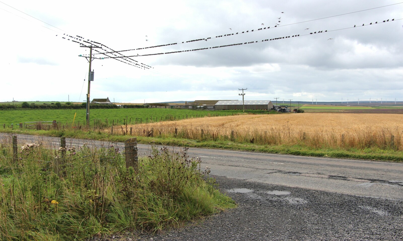 Skitten Broch — image 3