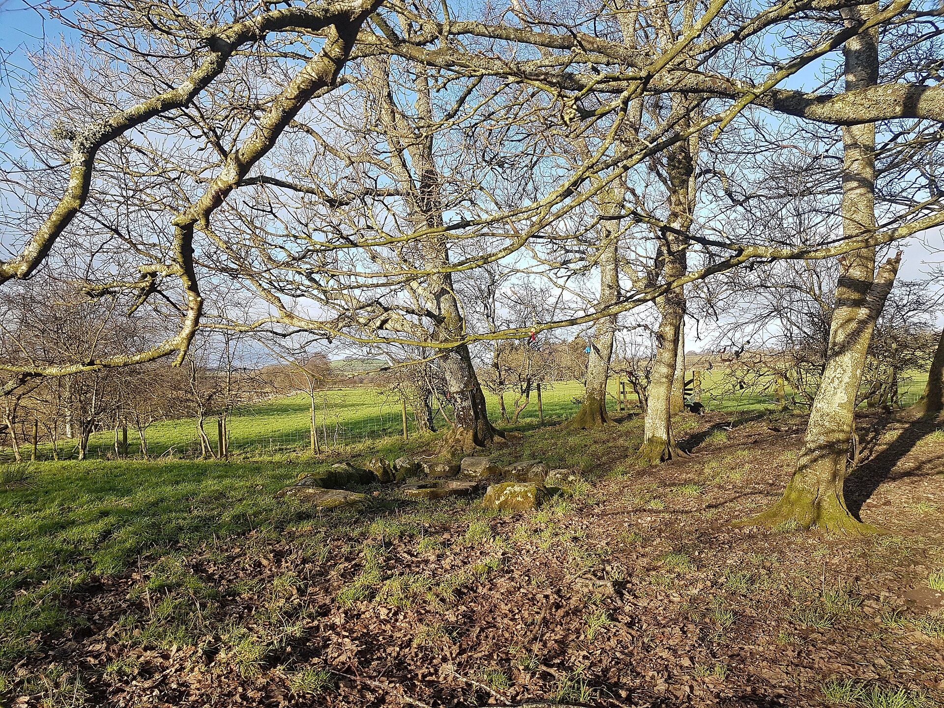 St Queran's Well — image 2