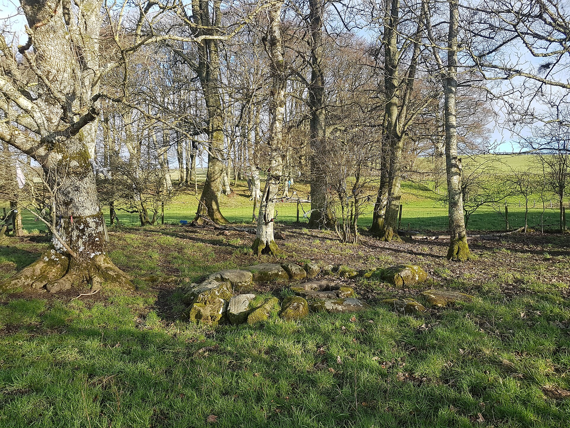 St Queran's Well — image 5