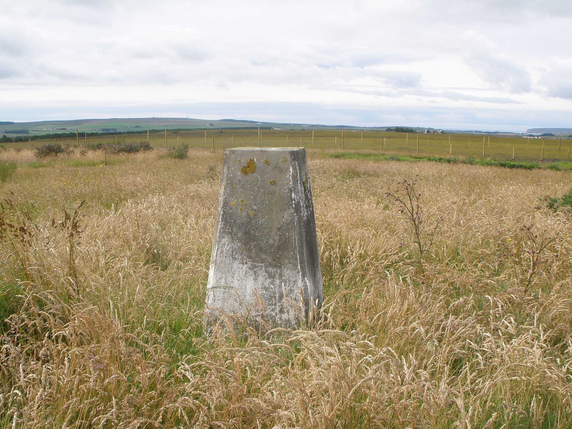 Stone Lud — image 3