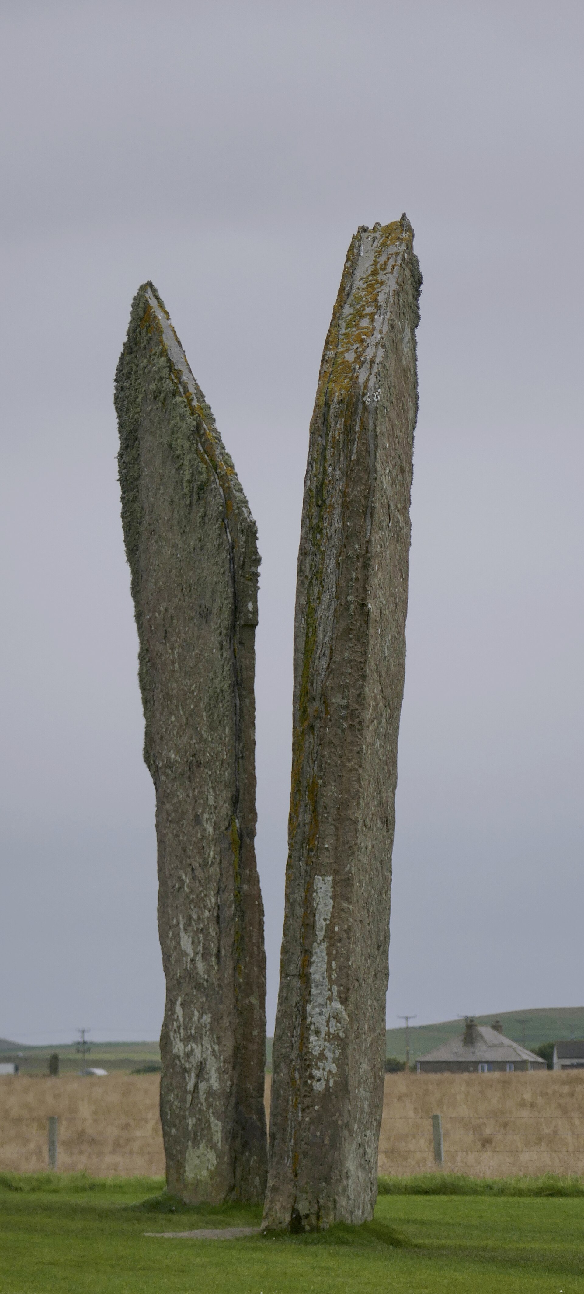 Stones of Stenness Circle and Henge — image 4