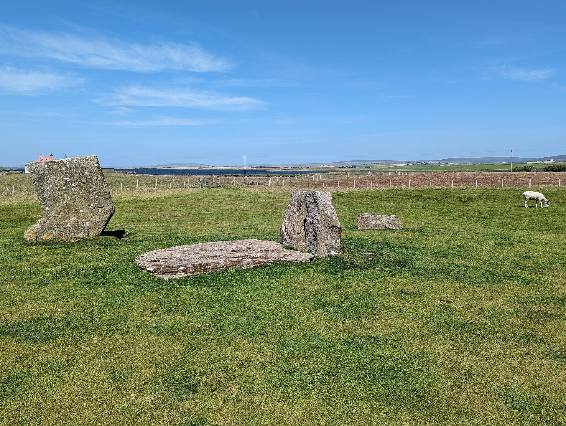 Stones of Stenness Circle and Henge — image 5