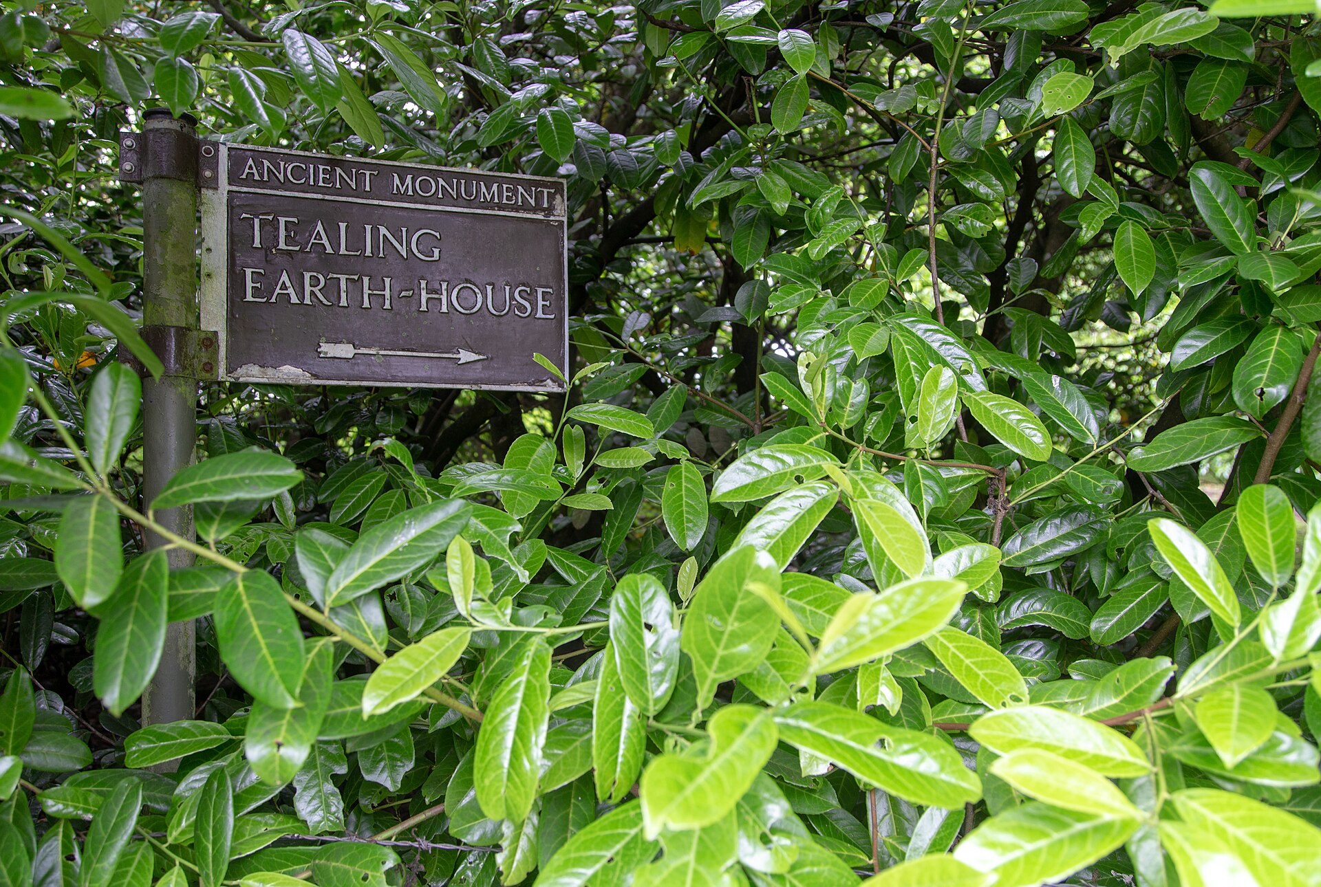 Tealing Earth House — image 4