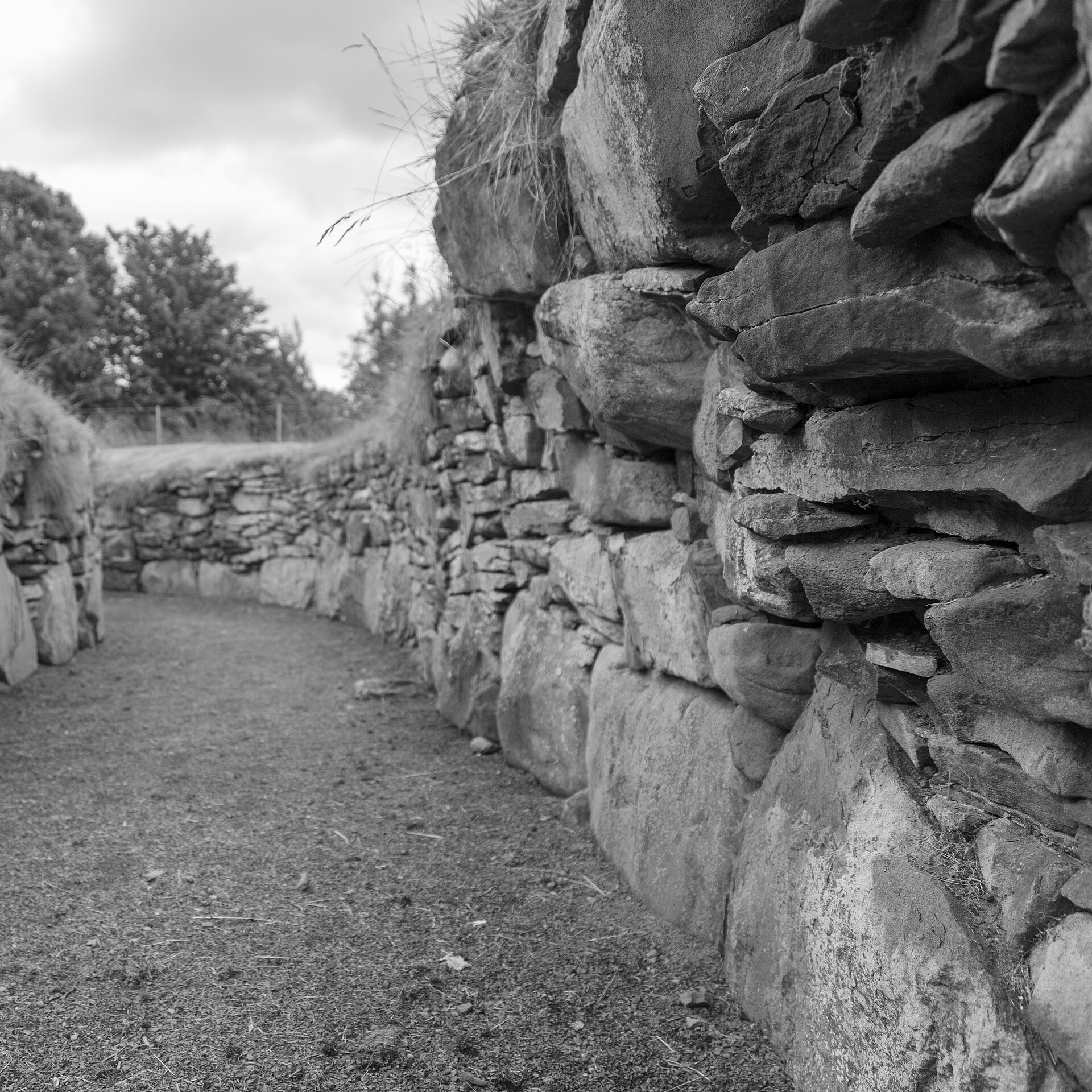 Tealing Earth House — image 5