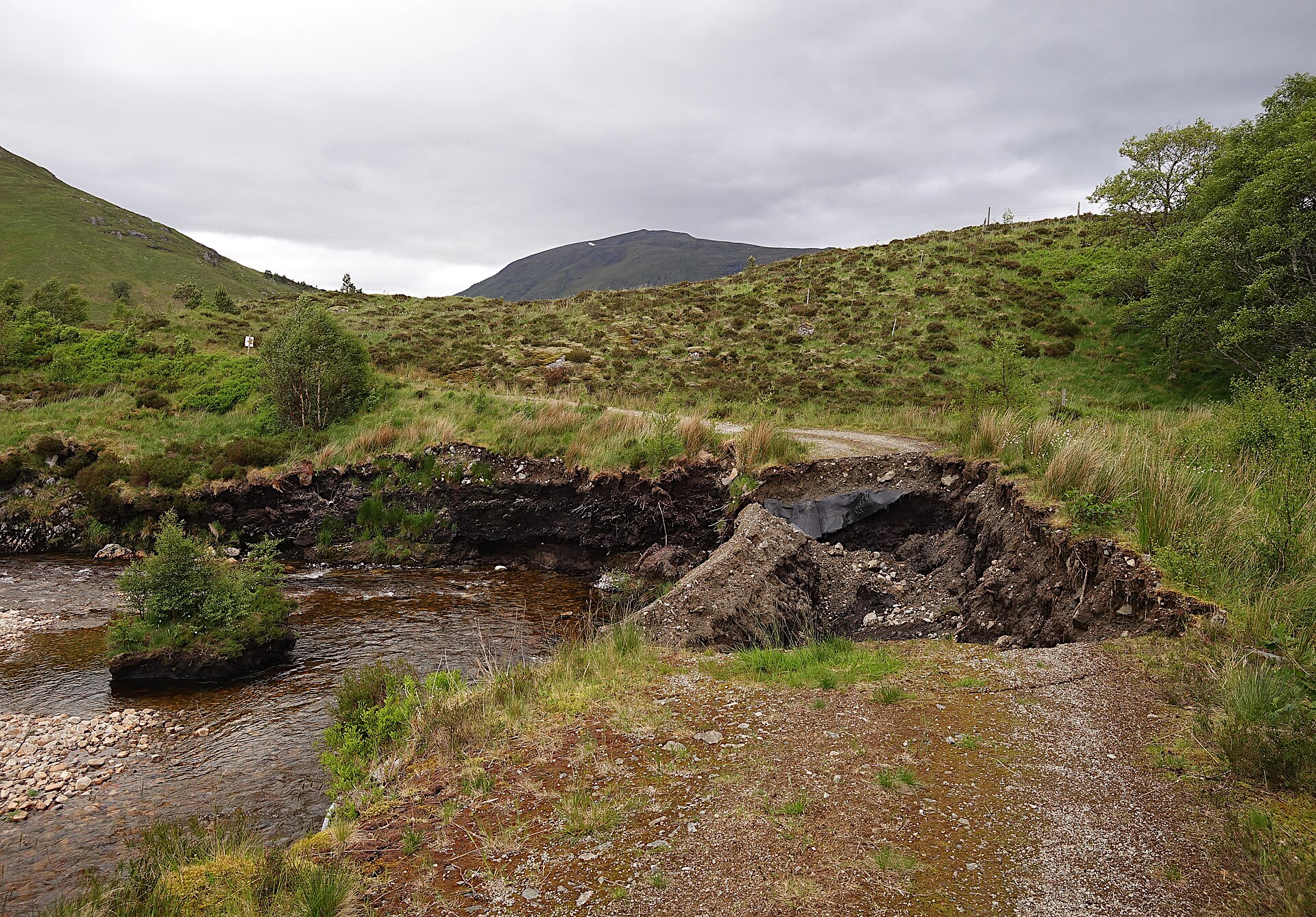 The Last Ent of Affric — image 3