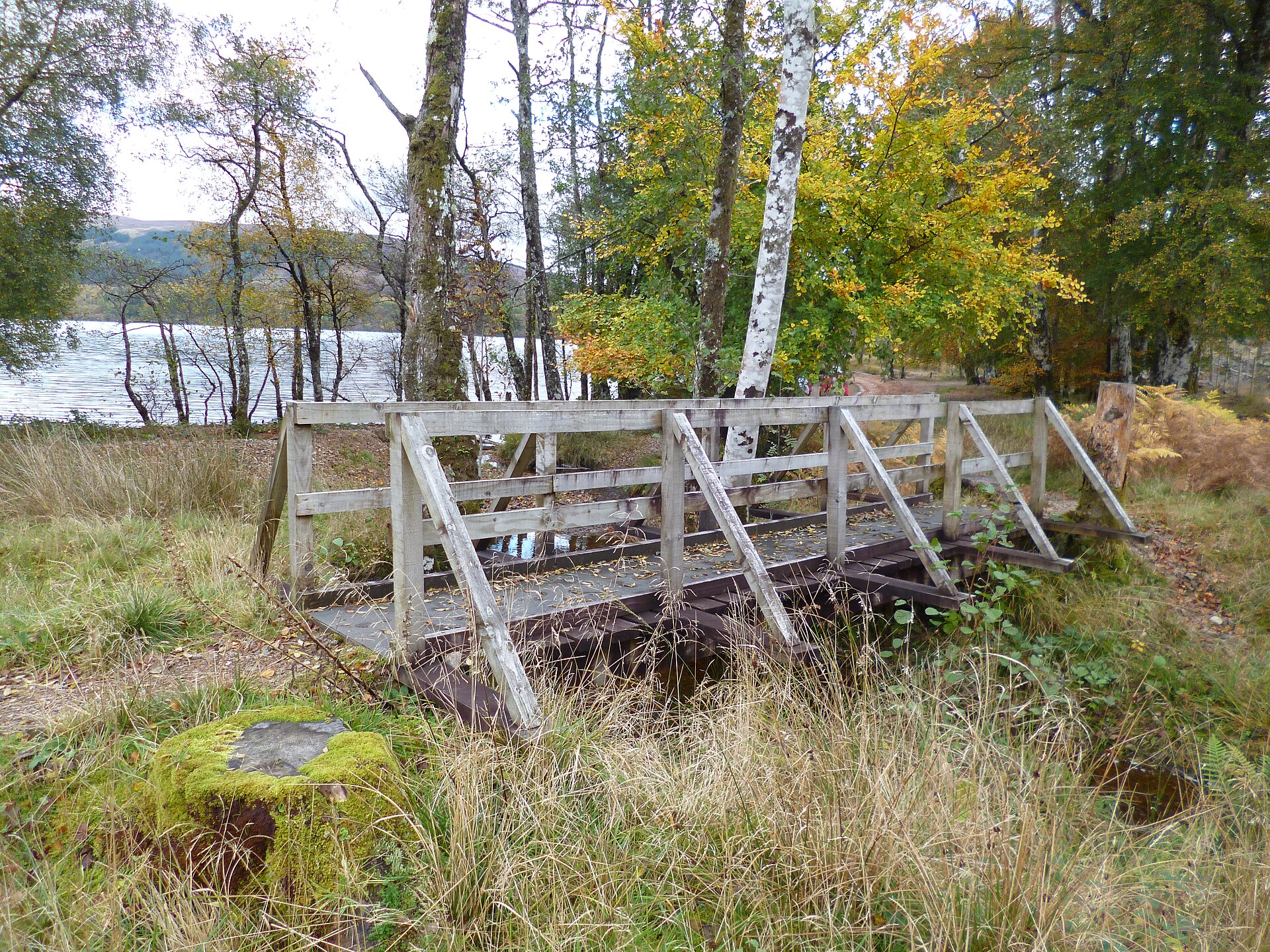 The Skipinnish Oak — image 4