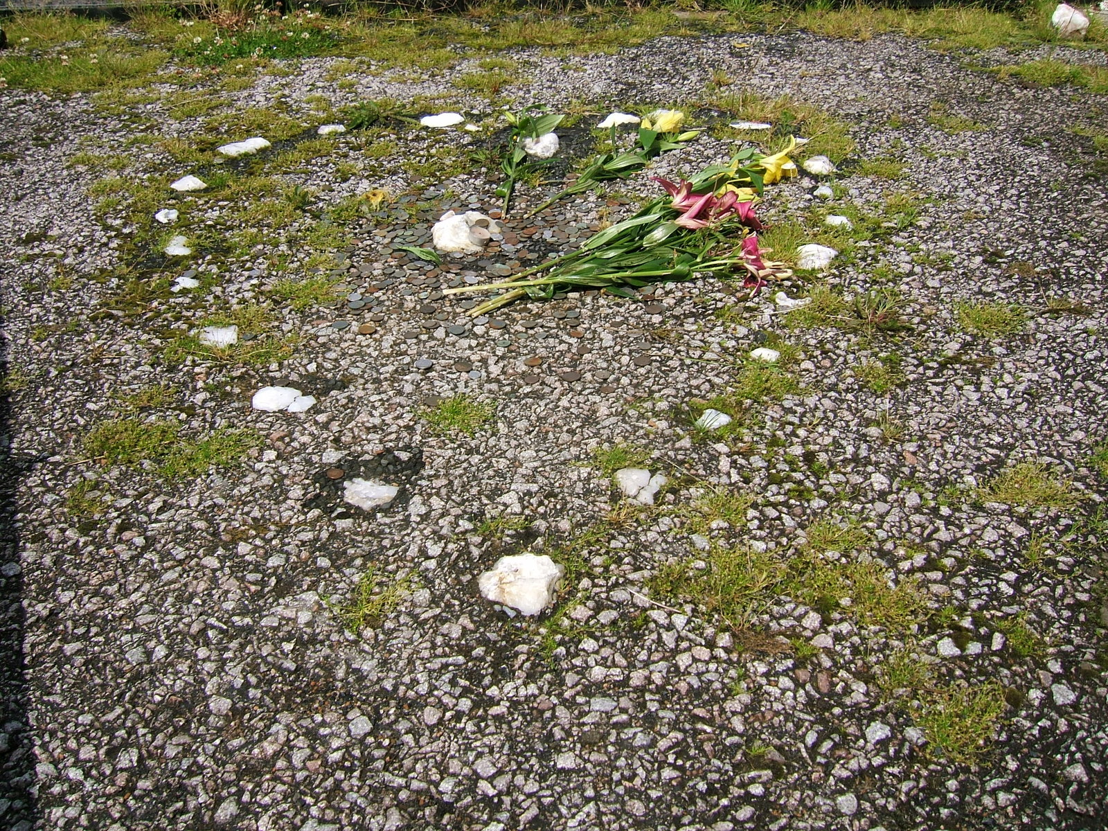 The Tinkers' Heart — image 3