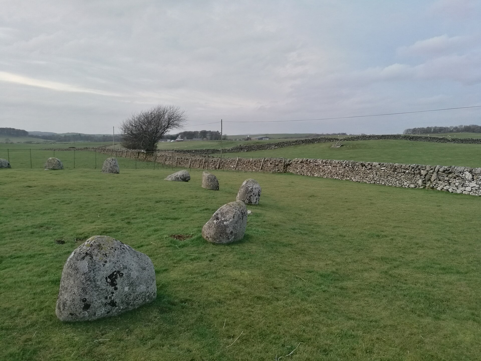 Torhouse — image 3