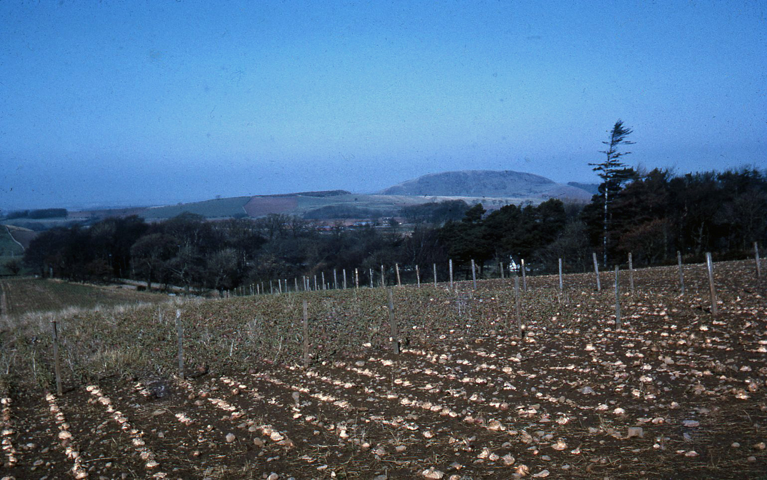 Traprain Law — image 4