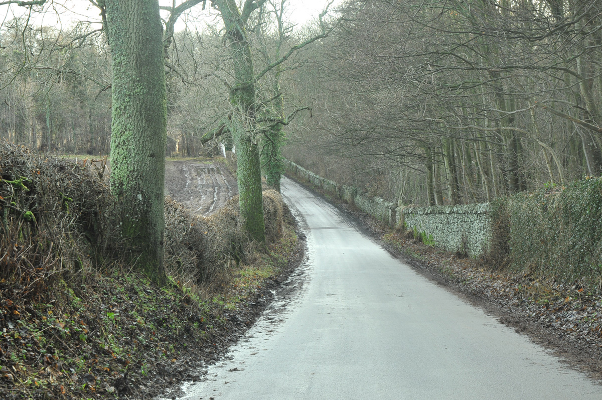 Village And Market Cross, Rossie — image 2