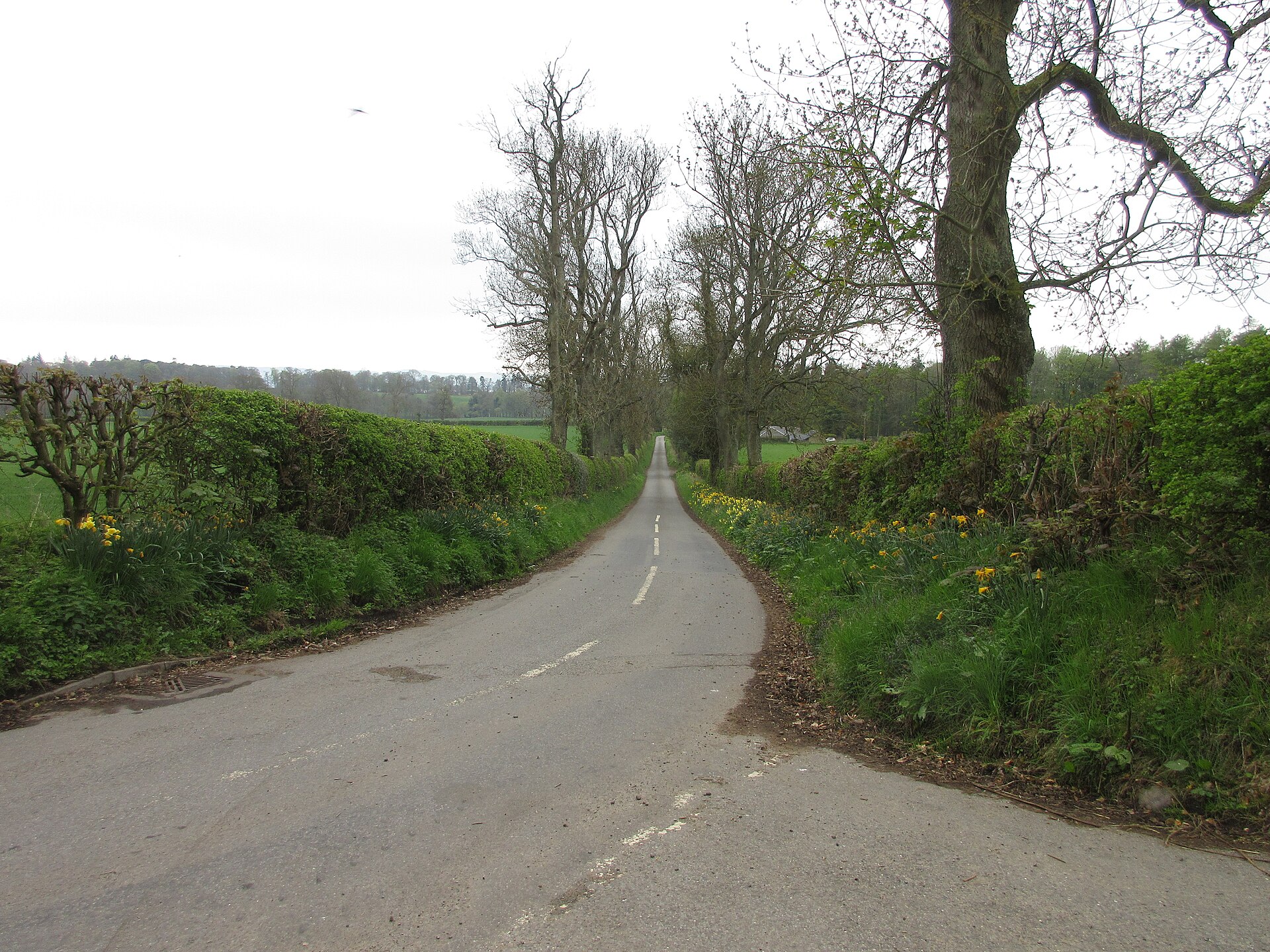 Village And Market Cross, Rossie — image 3