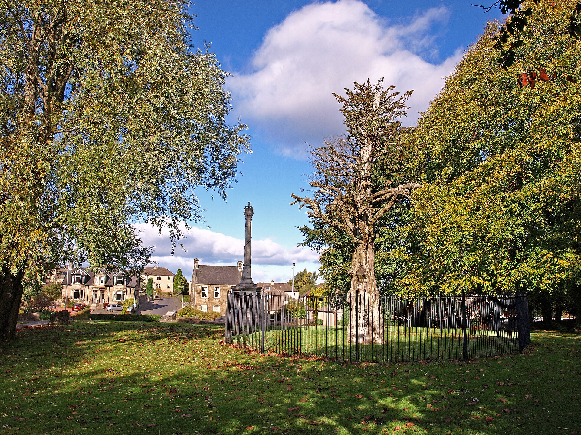 Wallace Oak (Elderslie) — image 2
