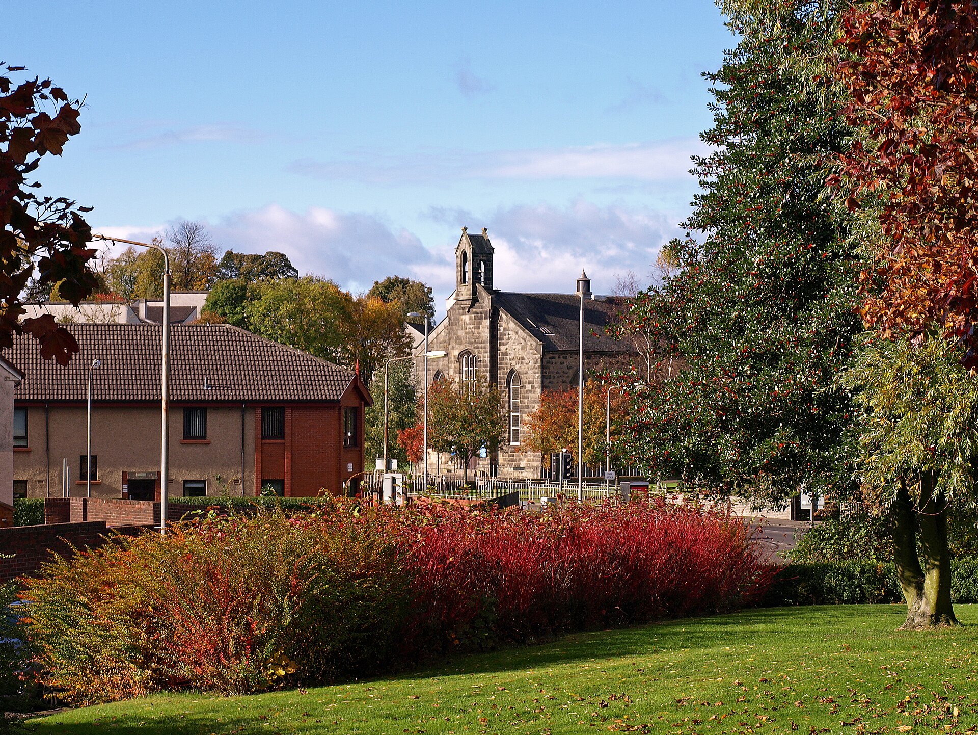 Wallace Oak (Elderslie) — image 3