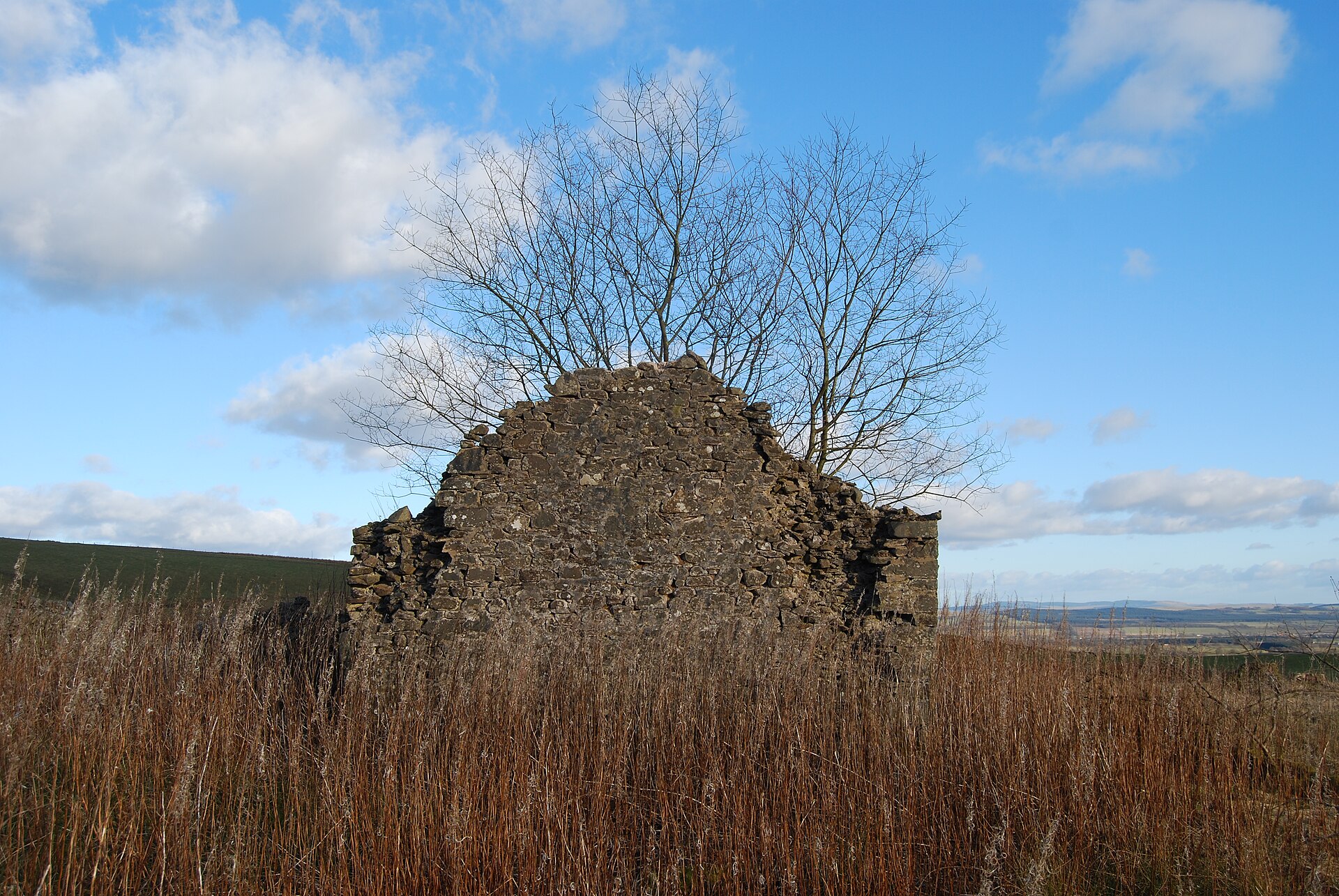 Wallace's House — image 2