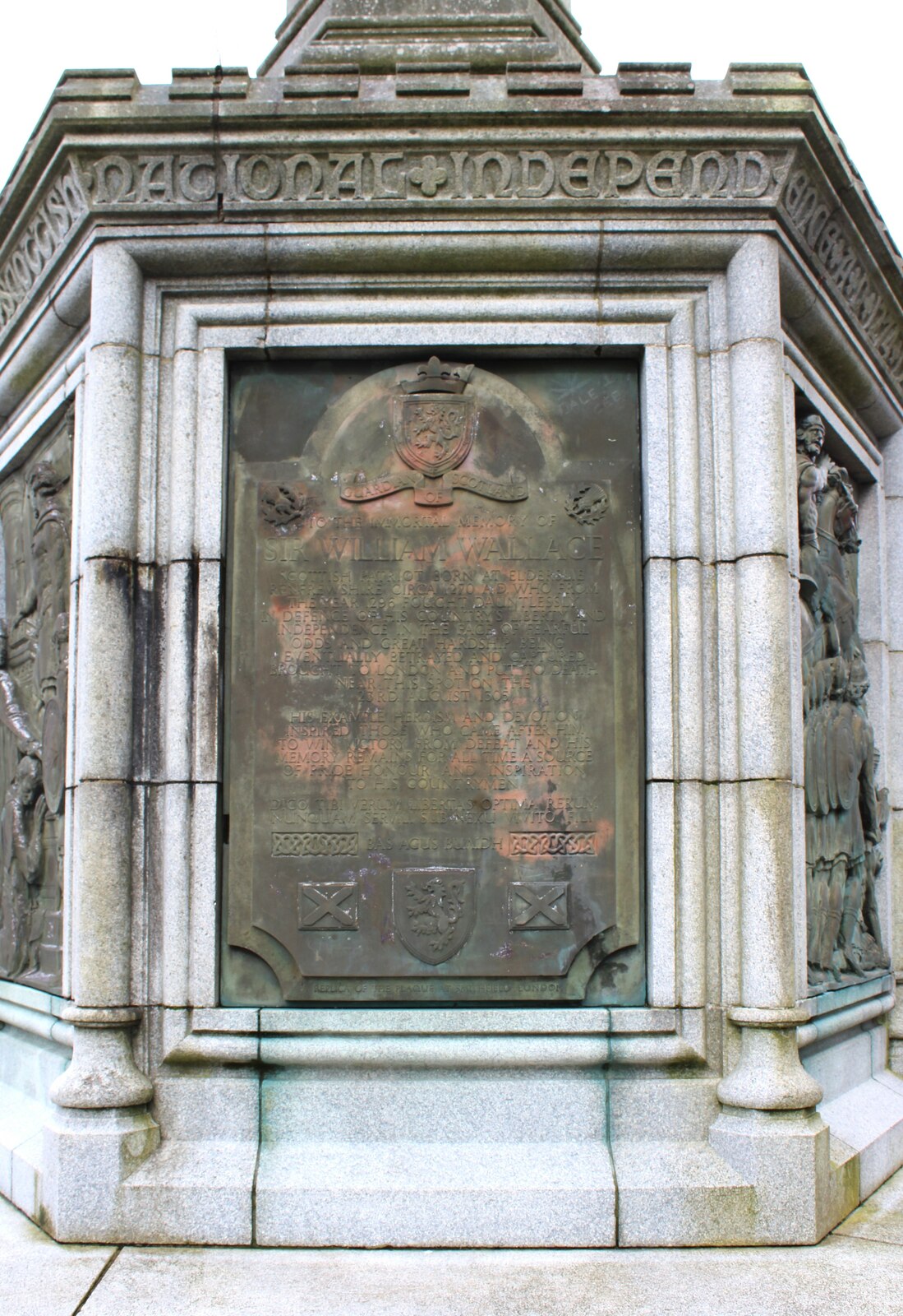 Wallace Yew (Elderslie) — image 4