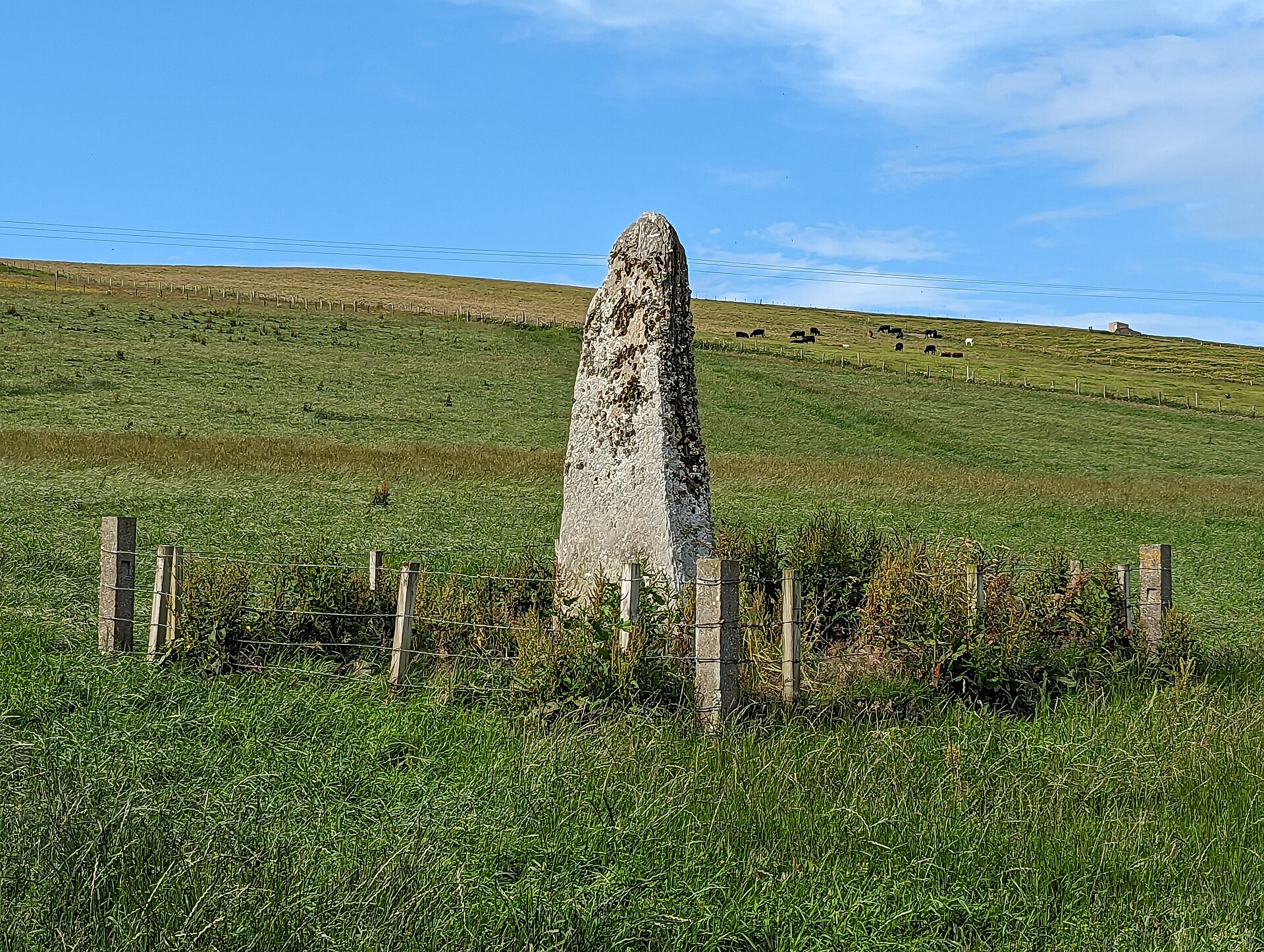 Wheebin standing stone — image 2