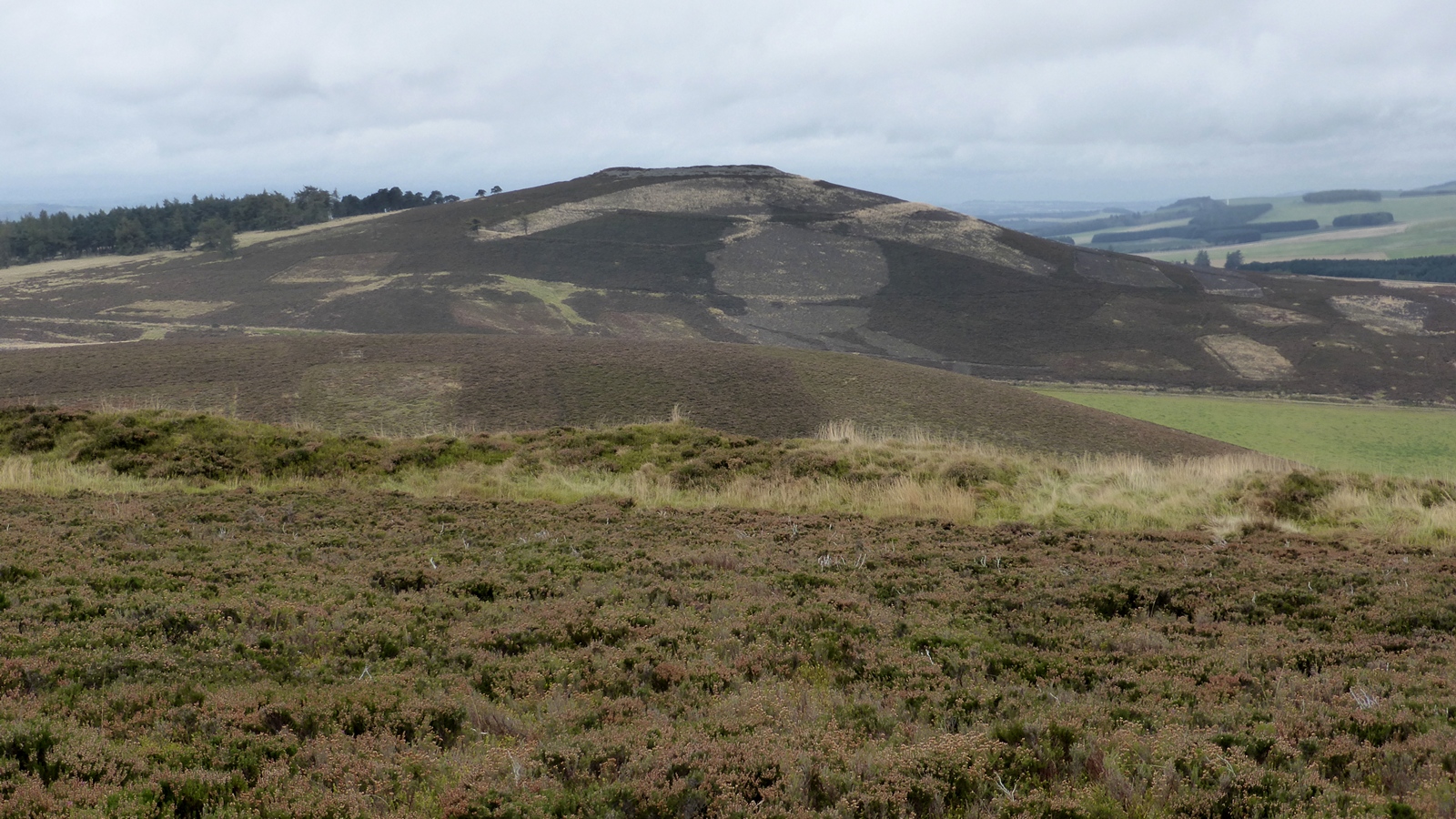 White Caterthun — image 2