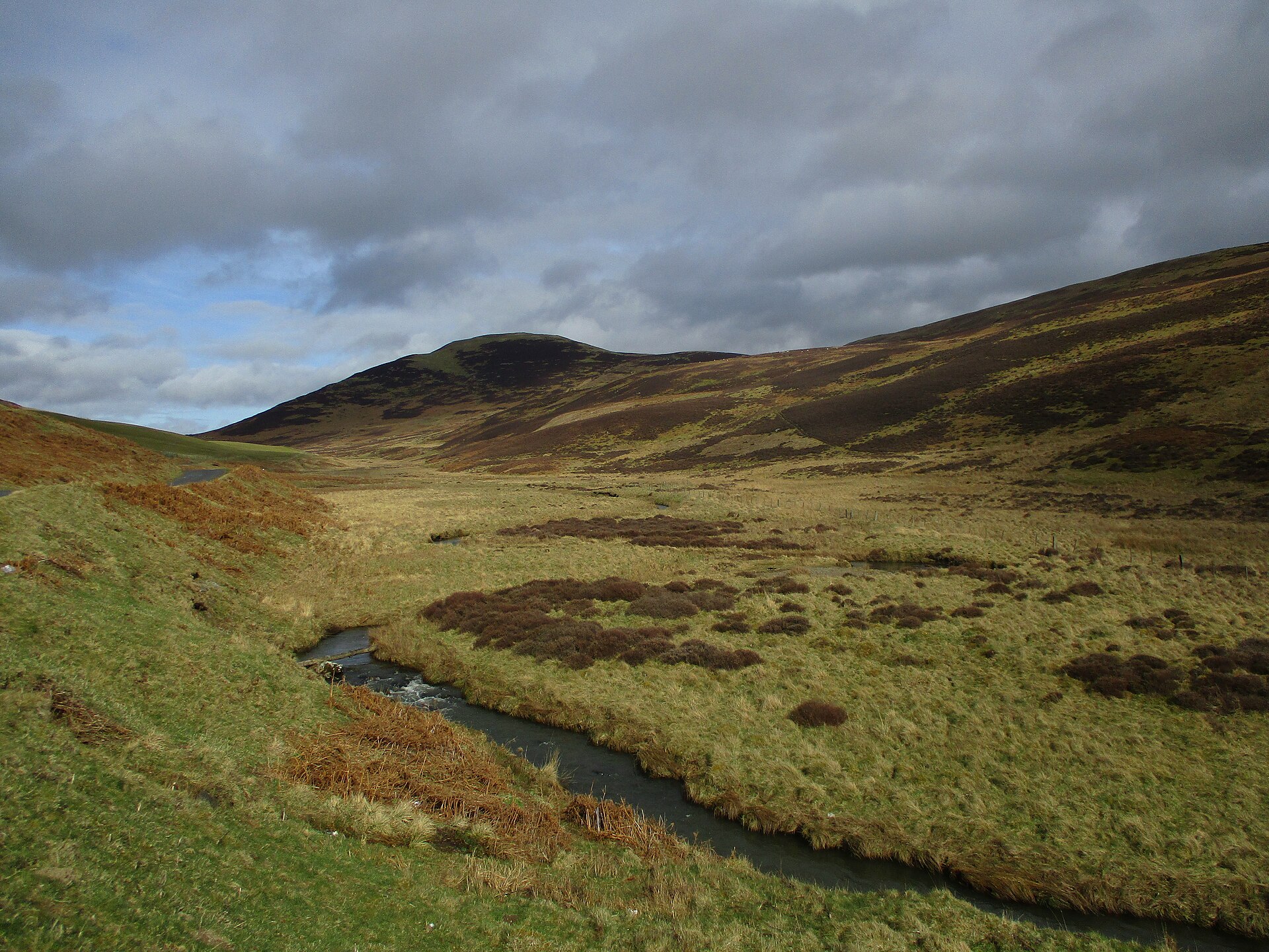 White Meldon — image 2