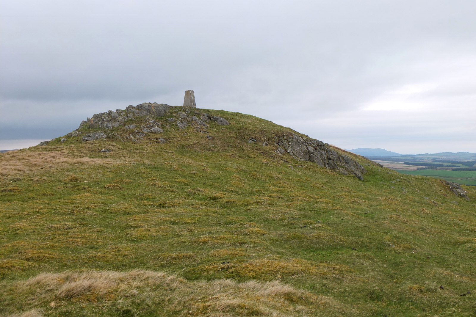 White Meldon — image 4